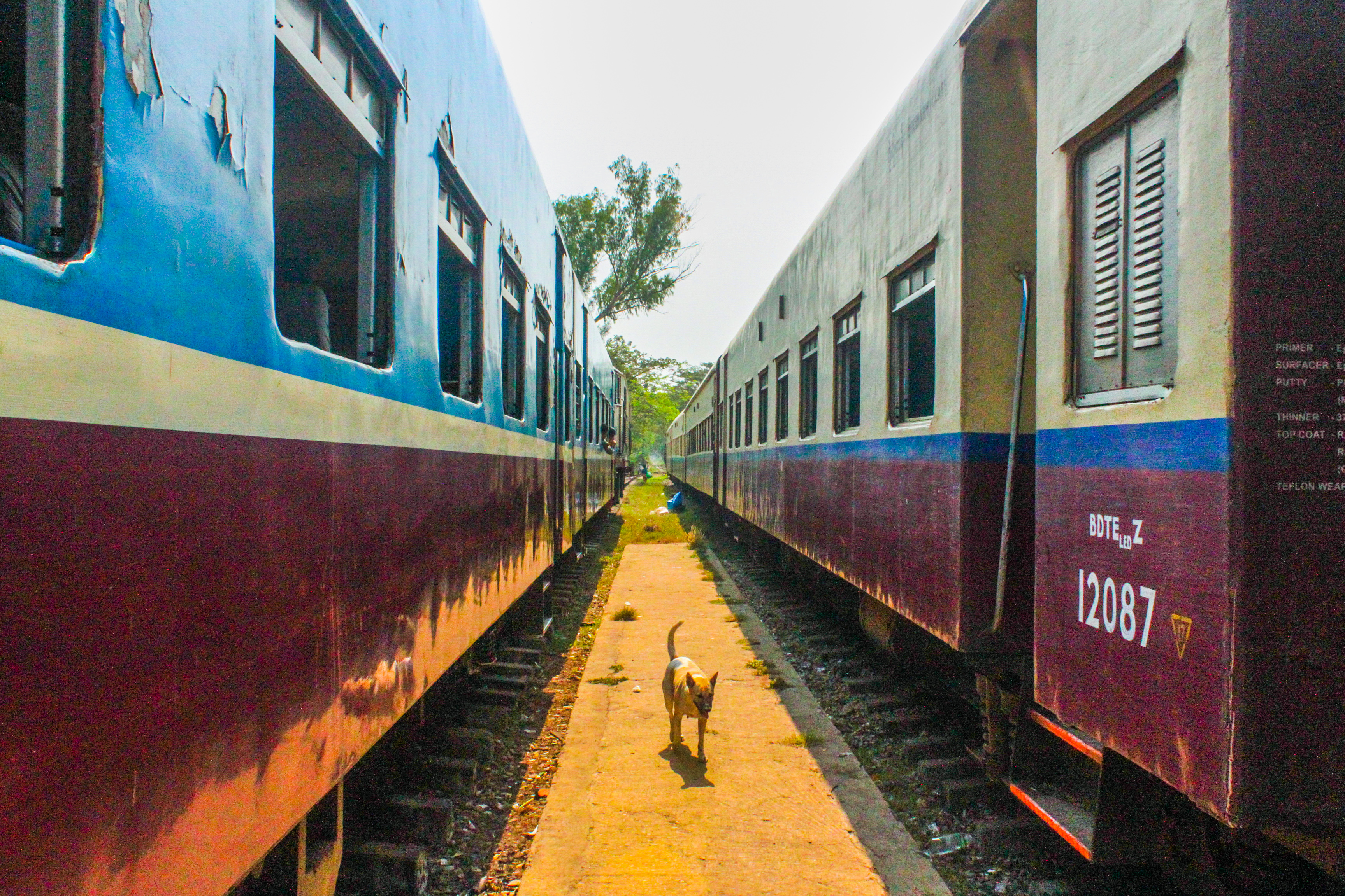 The Slowest Train In The World, Why and Where?